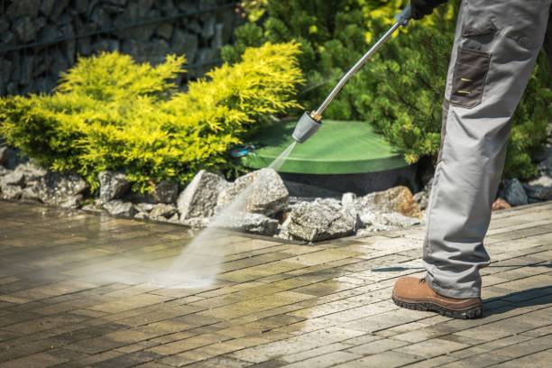 Best Pool Deck Cleaning in Vega, TX