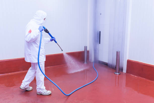 Best Warehouse Floor Cleaning in Vega, TX